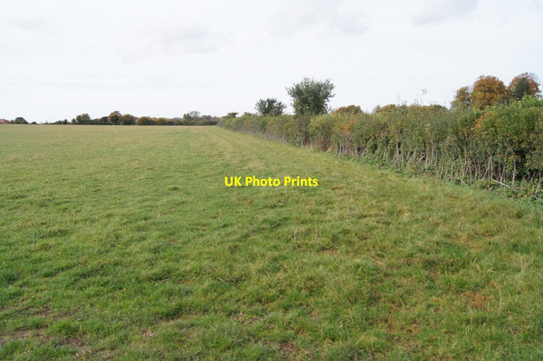Photo 6"x4" New hedge \/ field boundary Wonston\/SU4739 c2015