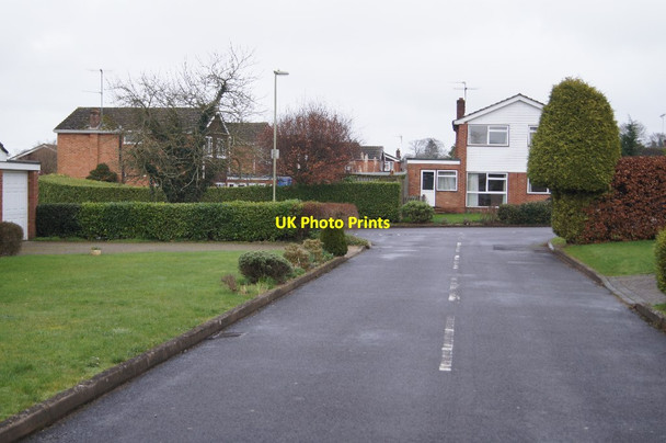 Photo 6"x4" Severn Gardens East Oakley c2016