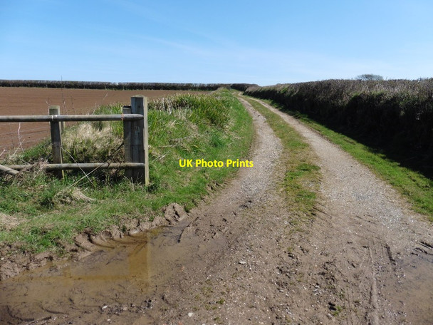 Photo 6"x4" Farm track near Smythen Cross Berry Down Cross c2016