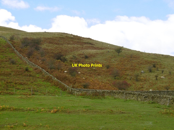 Photo 6"x4" Dyke, Wrae Hill Arkleton c2015