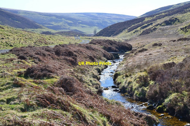 Photo 6"x4" Ladyside Burn Windy Knowe\/NT3649 c2016
