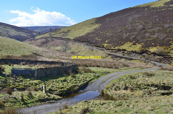 Photo 6"x4" Track from Ladyside Windy Knowe\/NT3649 c2016