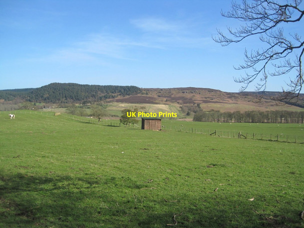 Photo 6"x4" Farmland and View towards Thrunton Wood Callaly c2016