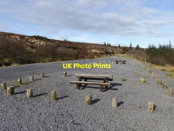 Photo 6"x4" Forest car park and picnic area at the Cut Clonaslee c2016
