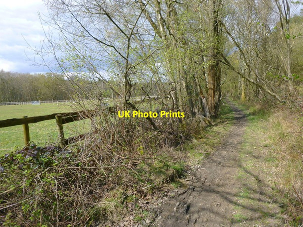 Photo 6"x4" Bridleway by paddock Colgate c2016