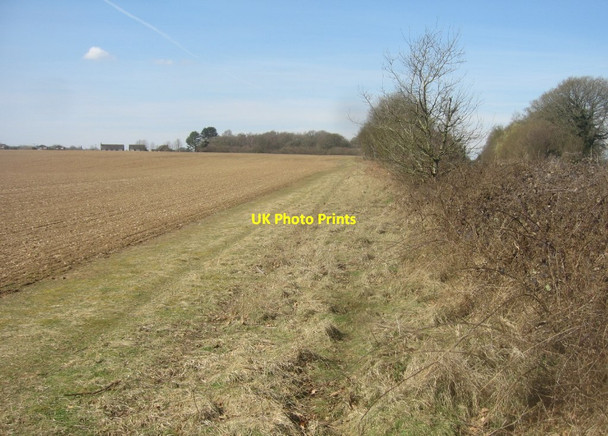 Photo 6"x4" Edge of St John's Field East Oakley c2016