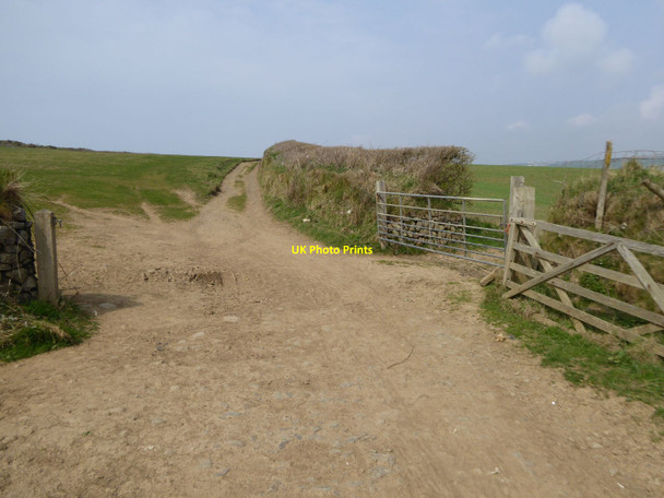 Photo 6"x4" Gateways at a corner of fields near Maer Bude\/SS2106 c2016