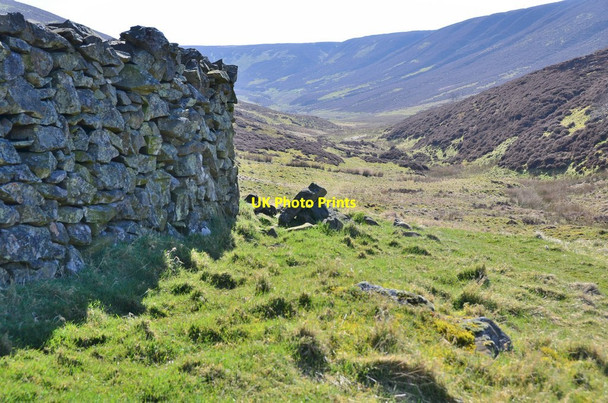 Photo 6"x4" Valley of the Raw Burn Peatrig Hill c2016