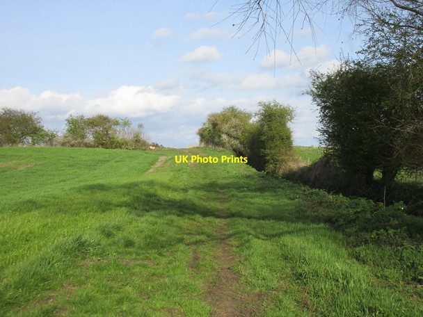 Photo 6"x4" Permissive path near Arglam Grange Foggathorpe c2016