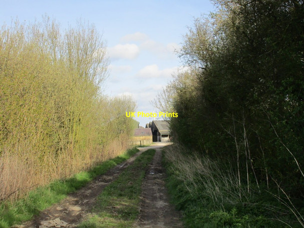 Photo 6"x4" Approaching Arglam Grange Spaldington c2016