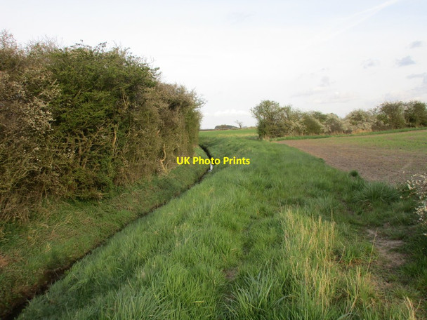 Photo 6"x4" Seller Dike Foggathorpe c2016