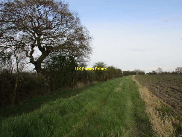 Photo 6"x4" Alongside Seller Dike Foggathorpe c2016