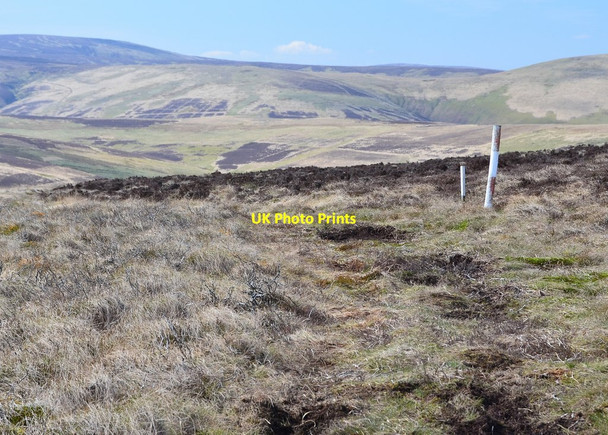 Photo 6"x4" Track across the moorland, Dun Law Dod Law\/NT3750 c2016