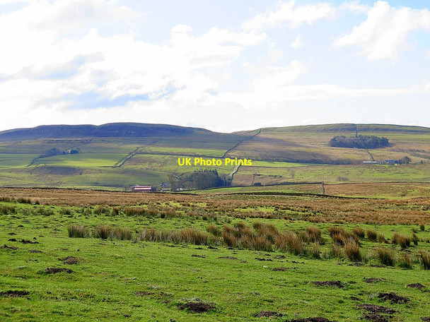 Photo 6"x4" Pasture near Edges Green Pont Gallon Burn c2016