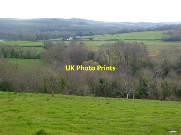 Photo 6"x4" Looking across the wooded valley of the infant River Barrow Rosenallis c2016