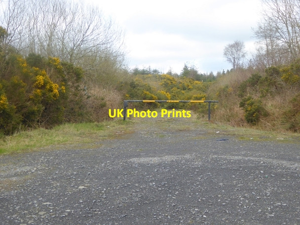 Photo 6"x4" Barrier into forest Rosenallis c2016