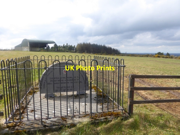 Photo 6"x4" Festival Field at Gorteen Rosenallis c2016