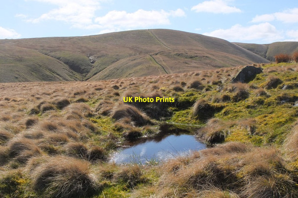 Photo 6"x4" Dundreich in sight Tweeddaleburn\/NT2752 c2016