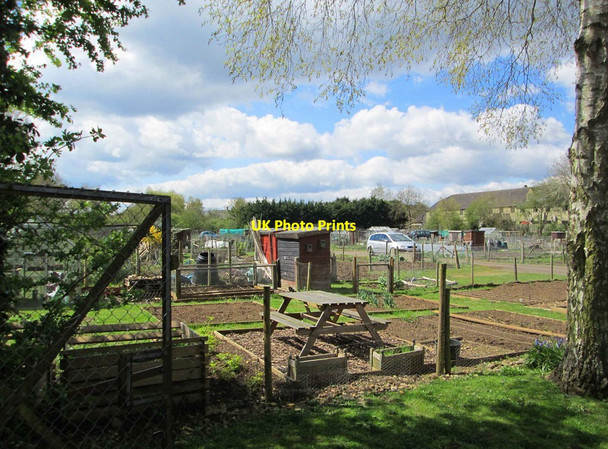 Photo 6"x4" Lakeside Allotments, Witney, Oxon Witney c2016