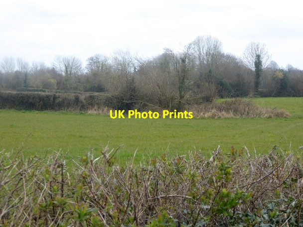 Photo 6"x4" Fields and woods near Skerry Rosenallis c2016