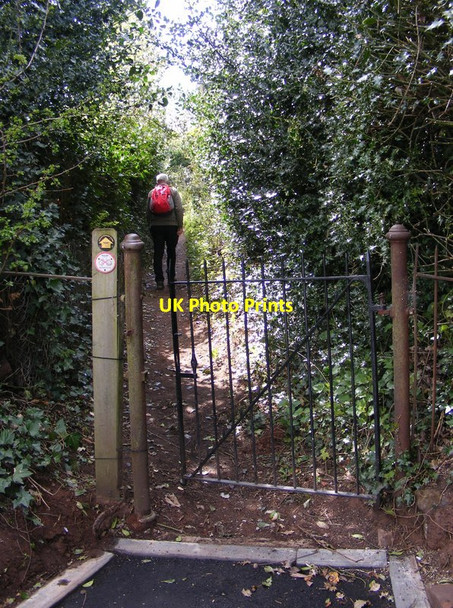 Photo 6"x4" Kinver Footpath Kinver c2016