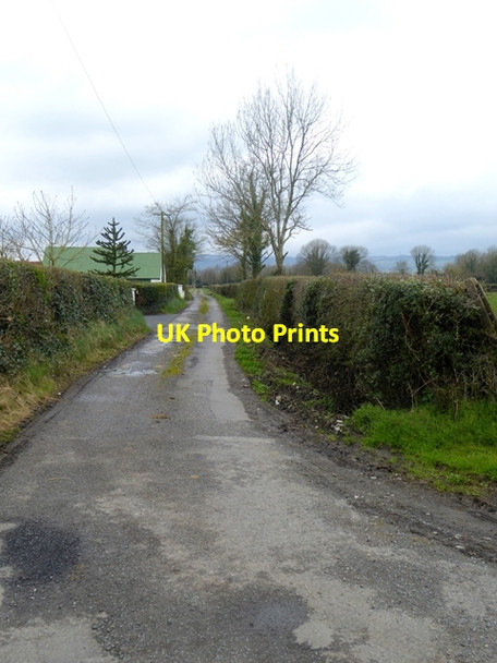 Photo 6"x4" Country road at Cloncannon Upper Mountmellick c2016