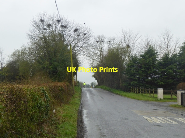 Photo 6"x4" Country road near Camira Glebe Rosenallis c2016