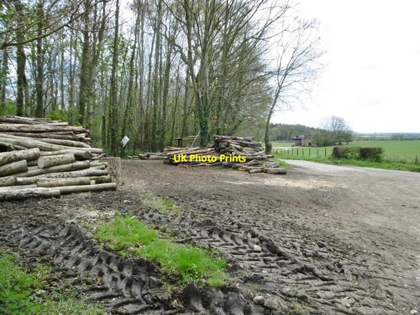 Photo 6"x4" Tarrant Rushton, timber Hogstock c2016