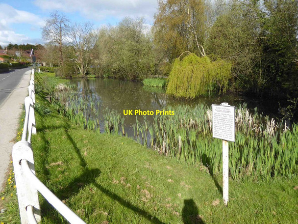 Photo 6"x4" Village pond Sicklinghall Sicklinghall c2016