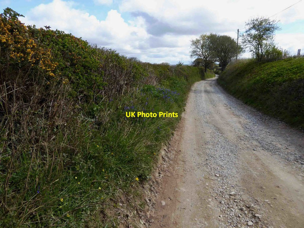 Photo 6"x4" High Lane to Spofforth Spofforth c2016