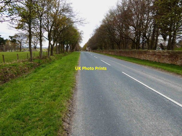 Photo 6"x4" Rudding Lane Harrogate c2016