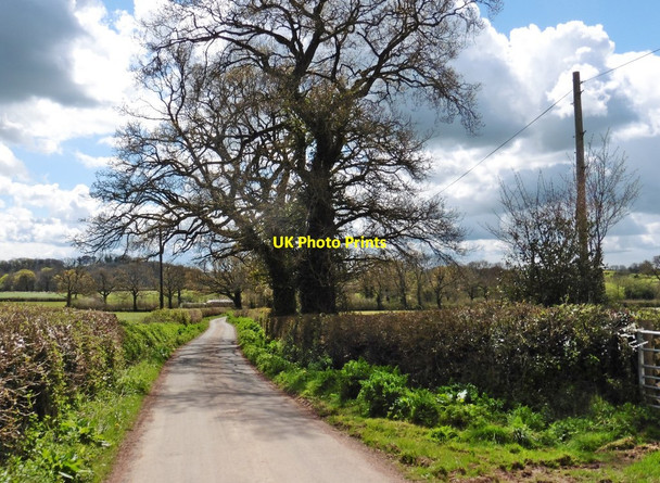 Photo 6"x4" Minor road to Holcombe Rogus Greenham\/ST0720 c2016