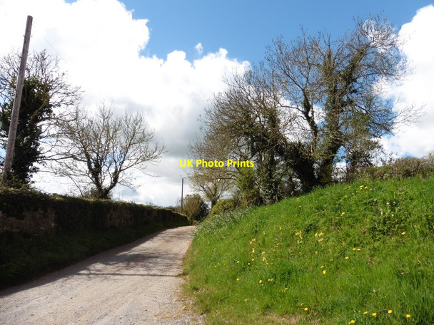 Photo 6"x4" Lane to Kytton Barton Ashbrittle c2016