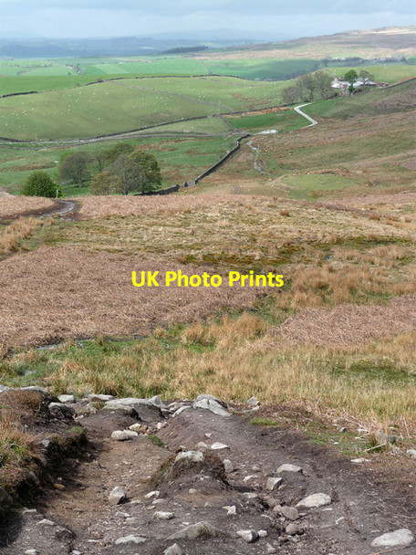 Photo 6"x4" View from Embsay Crag (1) Eastby c2013