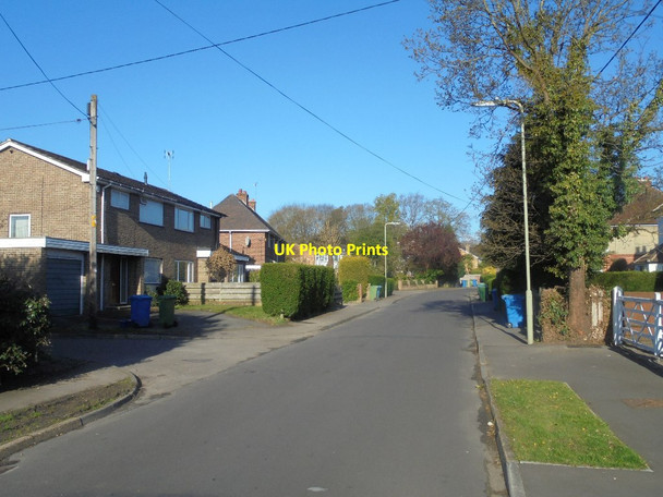 Photo 6"x4" View along Cold Harbour Lane Fox Lane c2016