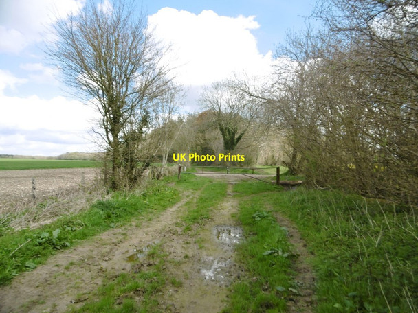 Photo 6"x4" Tarrant Monkton, gateway Hogstock c2016