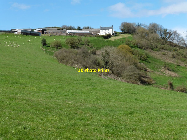 Photo 6"x4" Fleeds Farm Clayhanger\/ST0222 c2016