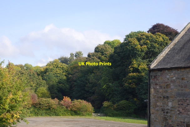 Photo 6"x4" Beside the North Esk, Dalkeith Dalkeith\/NT3467 c2015