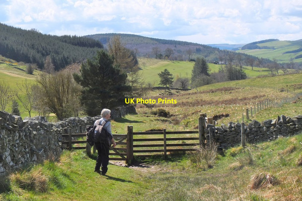 Photo 6"x4" Path alongside Galashiels golf course Galashiels c2016