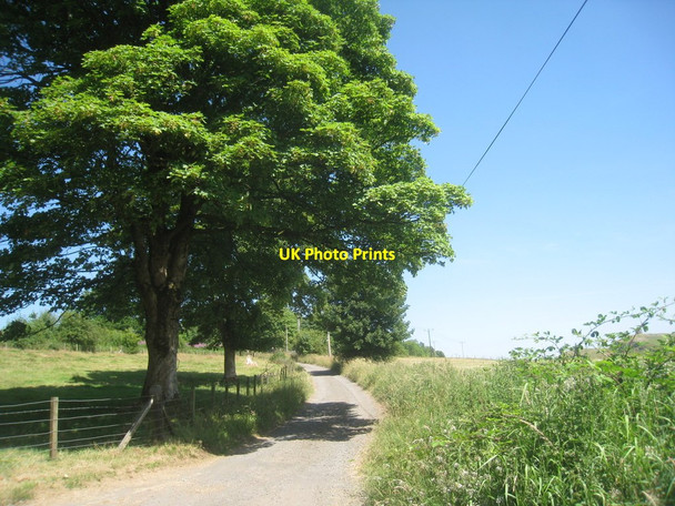 Photo 6"x4" Roadway at Castle Semple Howwood c2013