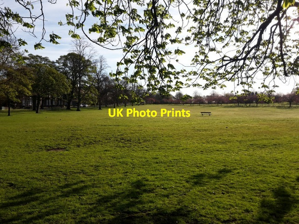 Photo 6"x4" Morning sunshine over the stray Harrogate c2016