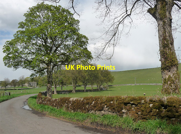 Photo 6"x4" Winterburn Lane near Eshton (1) Eshton c2013