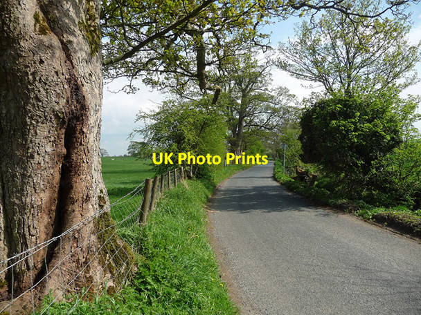 Photo 6"x4" Ray Bridge Lane near Gargrave Gargrave c2013