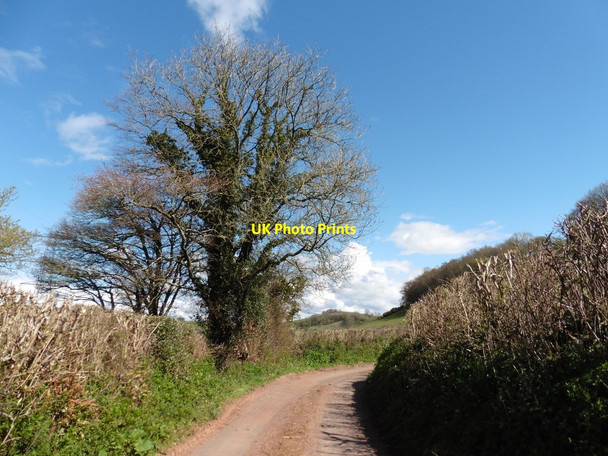 Photo 6"x4" Minor road to Hagley Bridge Ashbrittle c2016