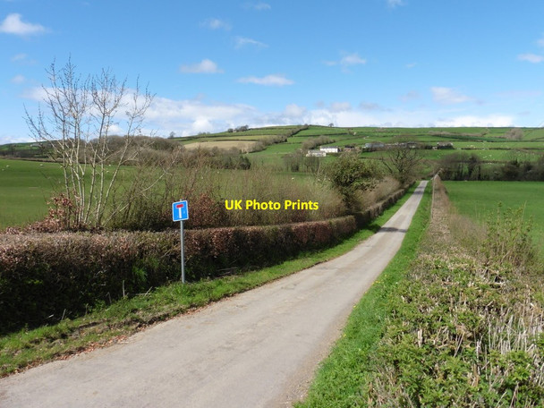 Photo 6"x4" Road to Westcott Farm Clayhanger\/ST0222 c2016