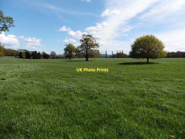 Photo 6"x4" Parkland near Ash Priors Ash Priors c2016