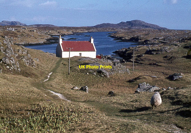 Photo 6"x4" Whitehouse at Aird Mhidhinis \u00c0ird Mhidhinis c1974
