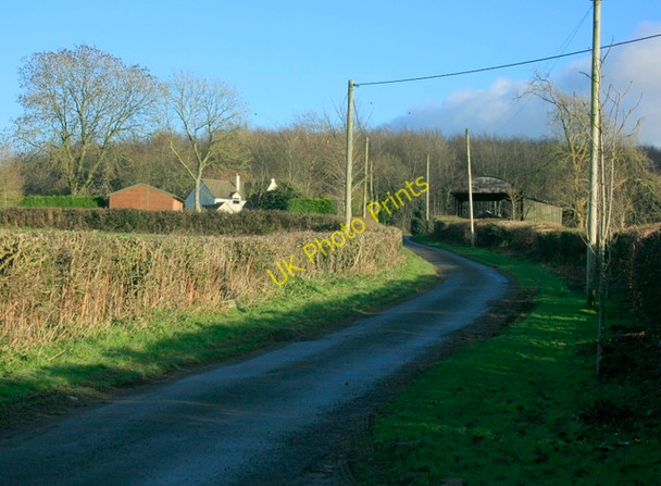 Photo 6"x4" 2009 : East Woodlands Road East Woodlands\/ST7844 c2009