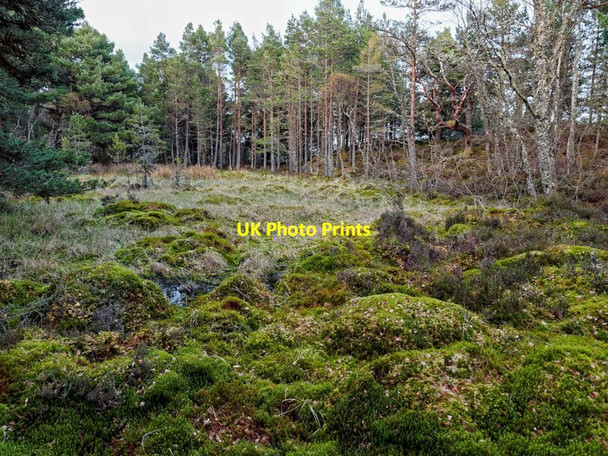 Photo 6"x4" Loch na Girra Kilmuir\/NH6749 c2016
