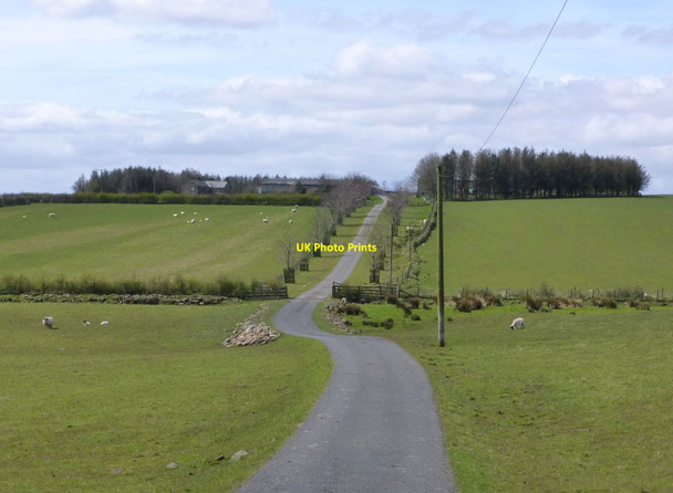 Photo 6"x4" Road to Dyke Head Dyke Head\/NZ0291 c2016